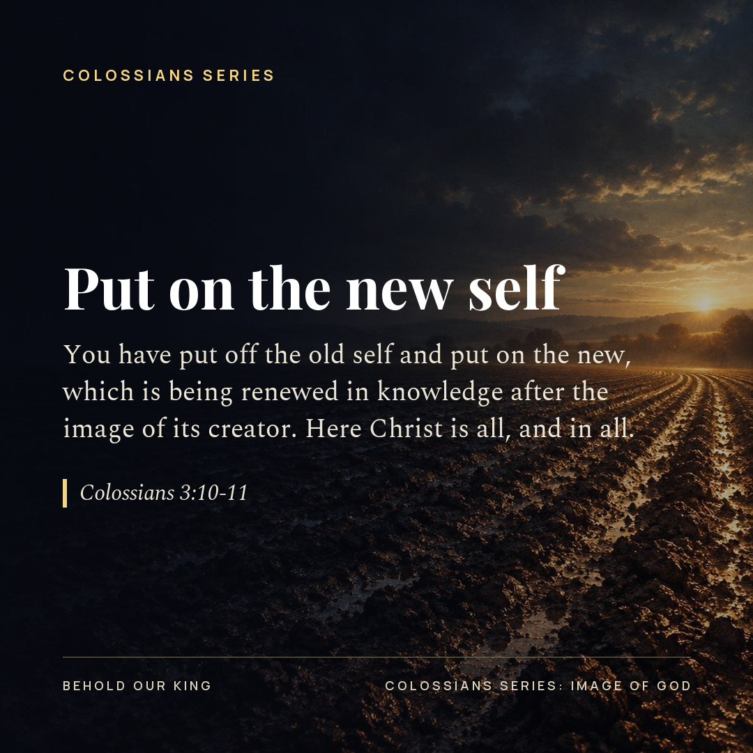Put on the new self