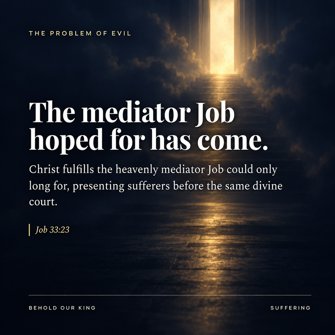 The mediator Job hoped for has come.